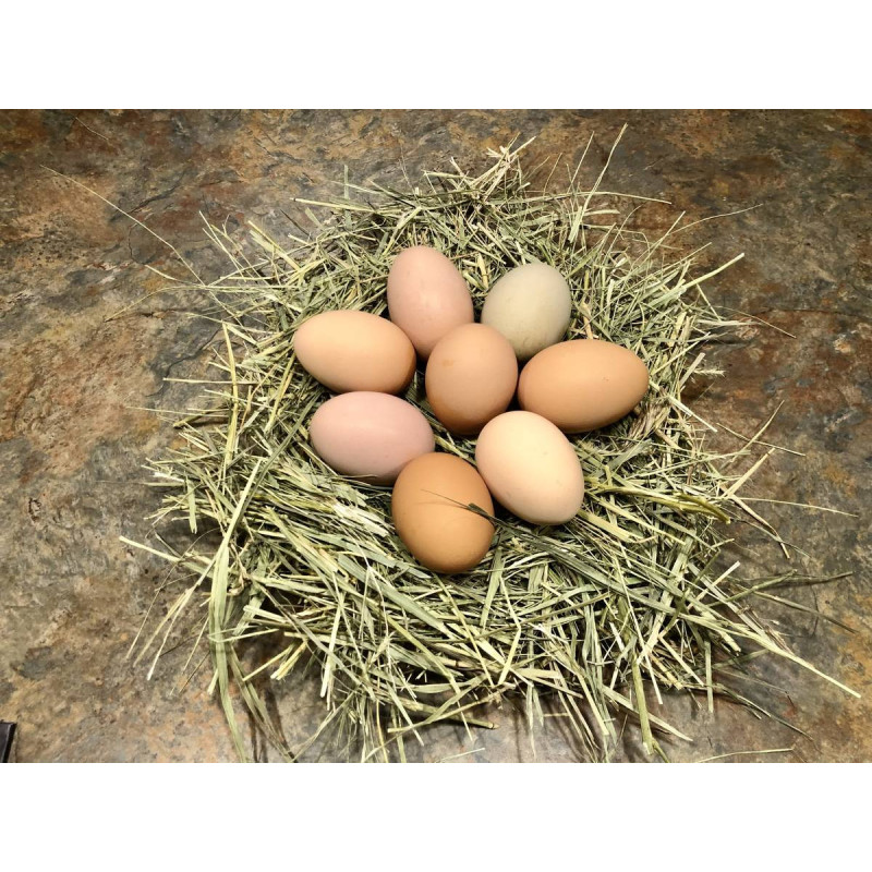 Farm Fresh Eggs