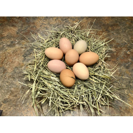 Farm Fresh Eggs