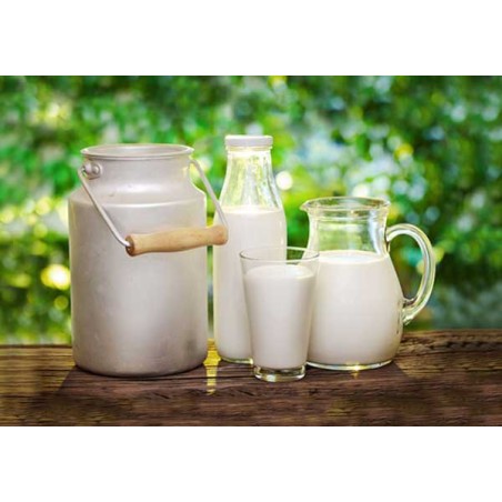 Farm Fresh Raw Milk